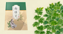【行業(yè)資訊】國內(nèi)首部艾草專著《南陽艾》，在南陽新書首發(fā)！