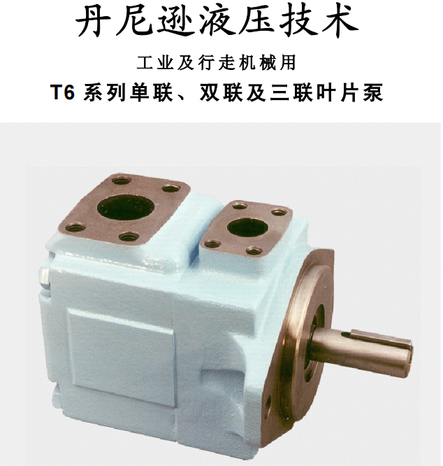 丹尼遜T6 系列單聯(lián)、雙聯(lián)及三聯(lián)葉片泵